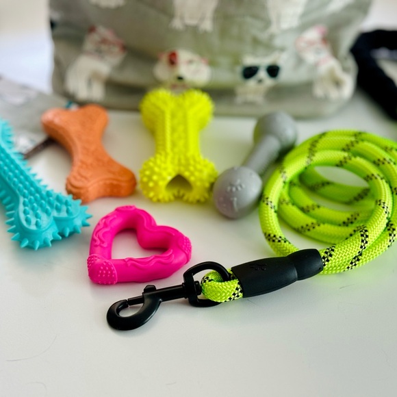 NWT🐾🩵Dog Gift Bag Reusable Pet Print Satchel 🩵Comes w/leash,blanket & 5 toys - Picture 2 of 12